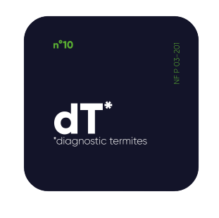 diagnostic-termites.png